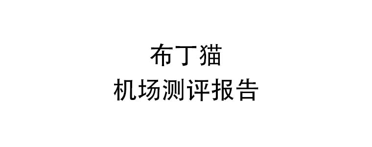 布丁猫机场