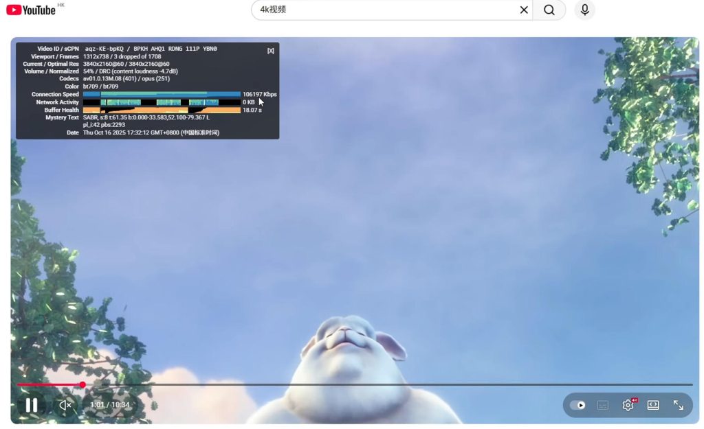 泡芙云 YouTube加载速度测试