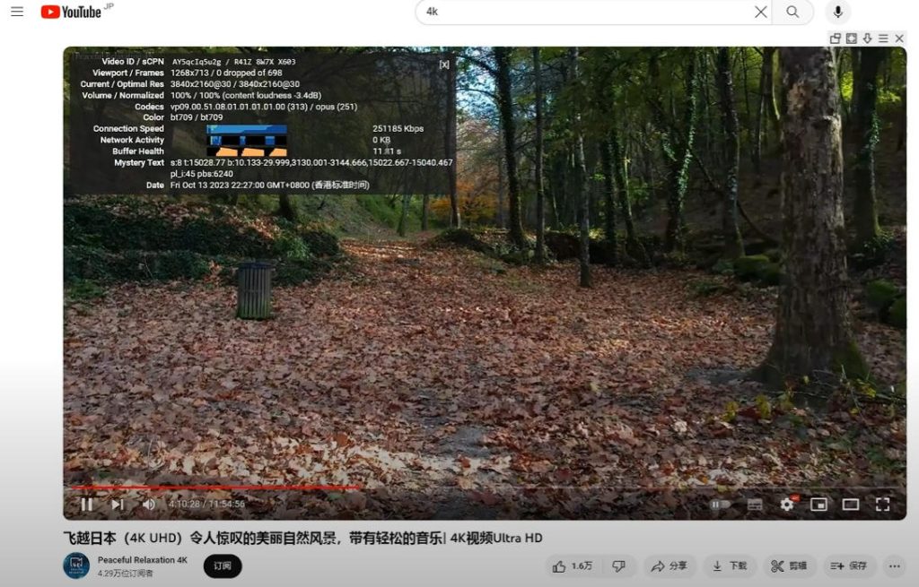 西部数据机场youtube测速